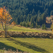 Amazing autumn panorama near village of Gela, Smolyan Region, Bulgaria
