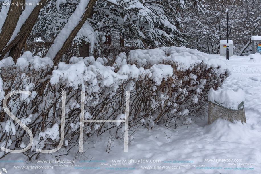 Winter Landscape with snow covered trees in South Park in city of Sofia, Bulgaria