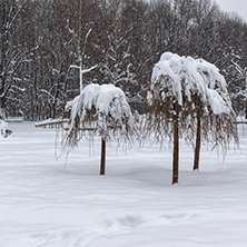 Winter Landscape with snow covered trees in South Park in city of Sofia, Bulgaria