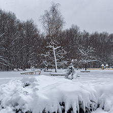 Winter Landscape with snow covered trees in South Park in city of Sofia, Bulgaria