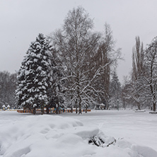 Winter Landscape with snow covered trees in South Park in city of Sofia, Bulgaria