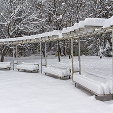 Winter Landscape with snow covered trees in South Park in city of Sofia, Bulgaria