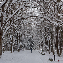 Winter Landscape with snow covered trees in South Park in city of Sofia, Bulgaria