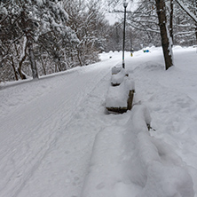 Winter Landscape with snow covered trees in South Park in city of Sofia, Bulgaria