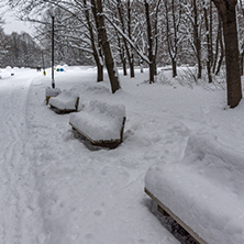 Winter Landscape with snow covered trees in South Park in city of Sofia, Bulgaria