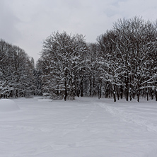 Winter Landscape with snow covered trees in South Park in city of Sofia, Bulgaria