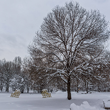 Winter Landscape with snow covered trees in South Park in city of Sofia, Bulgaria