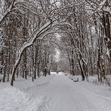 Winter Landscape with snow covered trees in South Park in city of Sofia, Bulgaria