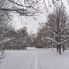 Winter Landscape with snow covered trees in South Park in city of Sofia, Bulgaria