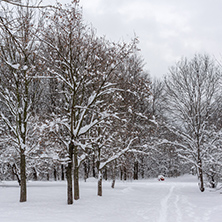 Winter Landscape with snow covered trees in South Park in city of Sofia, Bulgaria