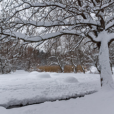 Winter Landscape with snow covered trees in South Park in city of Sofia, Bulgaria