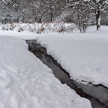 Winter Landscape with snow covered trees in South Park in city of Sofia, Bulgaria