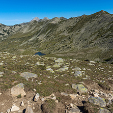 Amazing Summer landscape of green hills of Pirin Mountain, Bulgaria