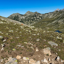 Amazing Summer landscape of green hills of Pirin Mountain, Bulgaria