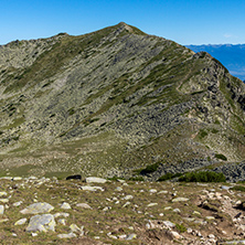 Amazing Summer landscape of green hills of Pirin Mountain, Bulgaria