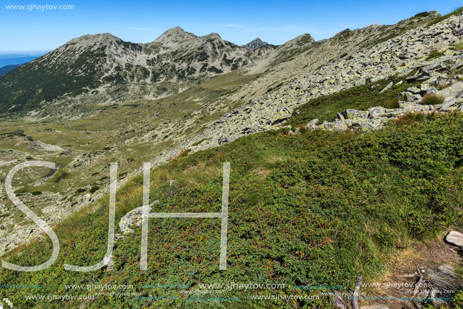 Amazing Summer landscape of green hills of Pirin Mountain, Bulgaria