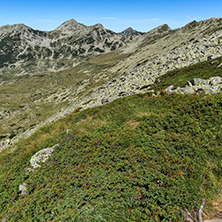 Amazing Summer landscape of green hills of Pirin Mountain, Bulgaria