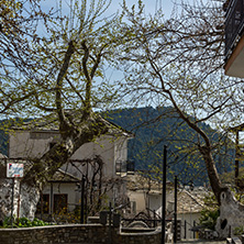 Old house in village of Panagia, Thassos island,  East Macedonia and Thrace, Greece