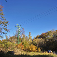 Autumn Landscape with yellow trees, Vitosha Mountain, Sofia City Region, Bulgaria