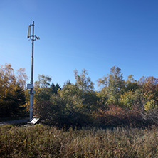 Autumn Landscape with yellow trees, Vitosha Mountain, Sofia City Region, Bulgaria