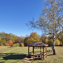 Autumn Landscape with yellow trees, Vitosha Mountain, Sofia City Region, Bulgaria