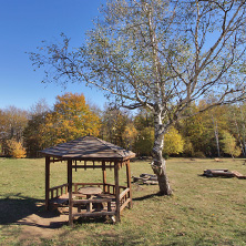 Autumn Landscape with yellow trees, Vitosha Mountain, Sofia City Region, Bulgaria