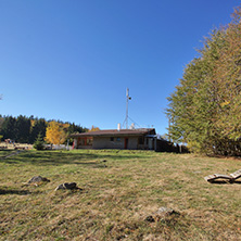 Autumn Landscape with yellow trees, Vitosha Mountain, Sofia City Region, Bulgaria