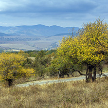 Autumn Panoramic view of Cherna Gora mountain, Pernik Region, Bulgaria