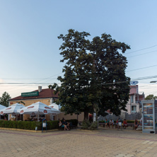 OBZOR, BULGARIA - JULY 26, 2014: Street in the center of resort of Obzor, Burgas region, Bulgaria
