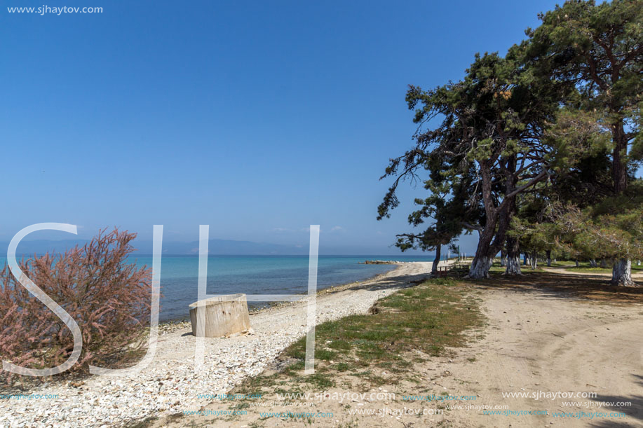 THASSOS, GREECE - APRIL 5, 2016: Beach of Ormos Prinou, Thassos island, East Macedonia and Thrace, Greece