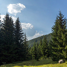 Amazing Landscape of Begovitsa River Valley, Pirin Mountain, Bulgaria