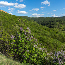 Landscape near rock formation Stob pyramids, Rila Mountain, Kyustendil region, Bulgaria