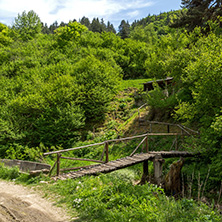 Wooden bridge over Fotinovo River near village of Fotinovo in Rhodopes Mountain, Pazardzhik region, Bulgaria