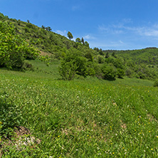 Spring landscape of Green Hills near village of Fotinovo in Rhodopes Mountain, Pazardzhik region, Bulgaria