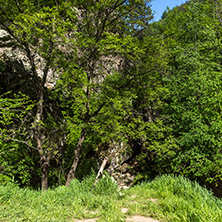 Amazing Landscape near Fotinovo waterfalls (Fotinski waterfall) in Rhodopes Mountain, Pazardzhik region, Bulgaria