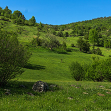 Amazing landscape of Green Hills near village of Fotinovo in Rhodopes Mountain, Pazardzhik region, Bulgaria