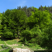 Old Stone bridge over Fotinovo River near village of Fotinovo in Rhodopes Mountain, Pazardzhik region, Bulgaria