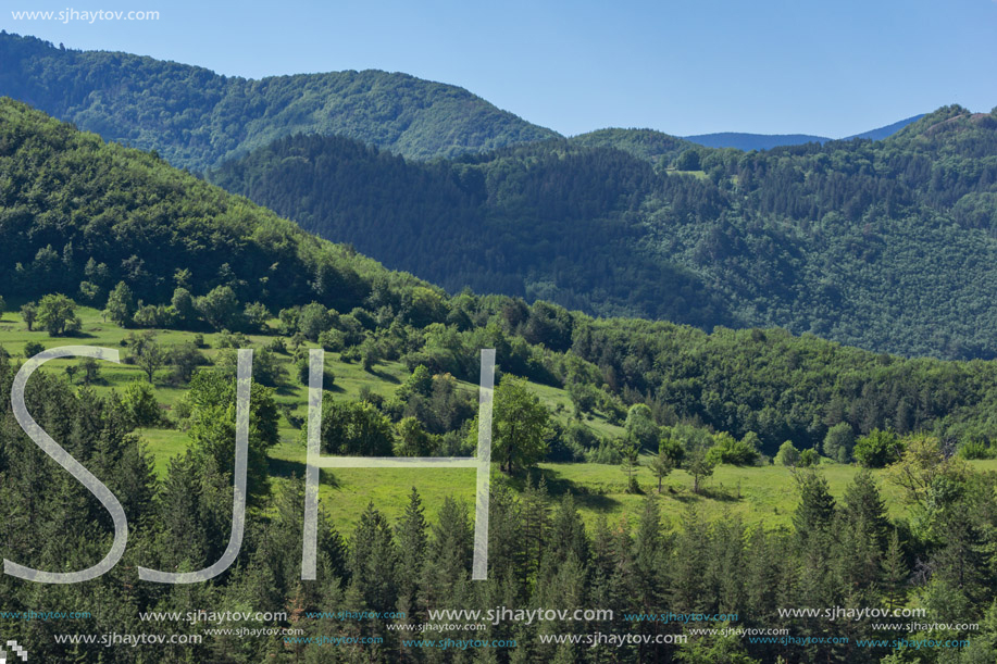 Amazing landscape of Green Hills near Village of Borovo in Rhodope Mountains, Plovdiv region, Bulgaria