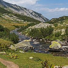 Landscape with Banderitsa River Valley, Pirin Mountain, Bulgaria