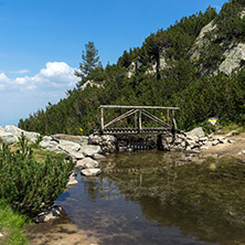 Landscape with wooden bridge over Banderitsa River, Pirin Mountain, Bulgaria