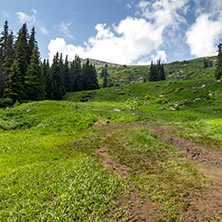 Amazing Landscape with green hills at Vitosha Mountain, Sofia City Region, Bulgaria