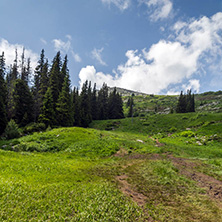 Amazing Landscape with green hills at Vitosha Mountain, Sofia City Region, Bulgaria