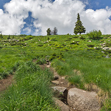 Amazing Landscape with green hills at Vitosha Mountain, Sofia City Region, Bulgaria