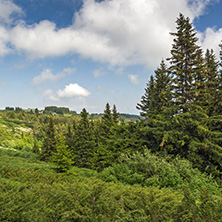 Amazing Landscape with green hills at Vitosha Mountain, Sofia City Region, Bulgaria