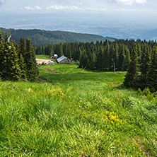 Amazing Landscape with green hills at Vitosha Mountain, Sofia City Region, Bulgaria