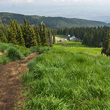 Amazing Landscape with green hills at Vitosha Mountain, Sofia City Region, Bulgaria