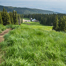 Amazing Landscape with green hills at Vitosha Mountain, Sofia City Region, Bulgaria