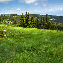 Amazing Landscape with green hills at Vitosha Mountain, Sofia City Region, Bulgaria