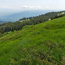 Amazing Landscape with green hills at Vitosha Mountain, Sofia City Region, Bulgaria