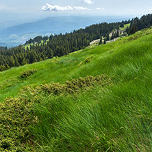 Amazing Landscape with green hills at Vitosha Mountain, Sofia City Region, Bulgaria